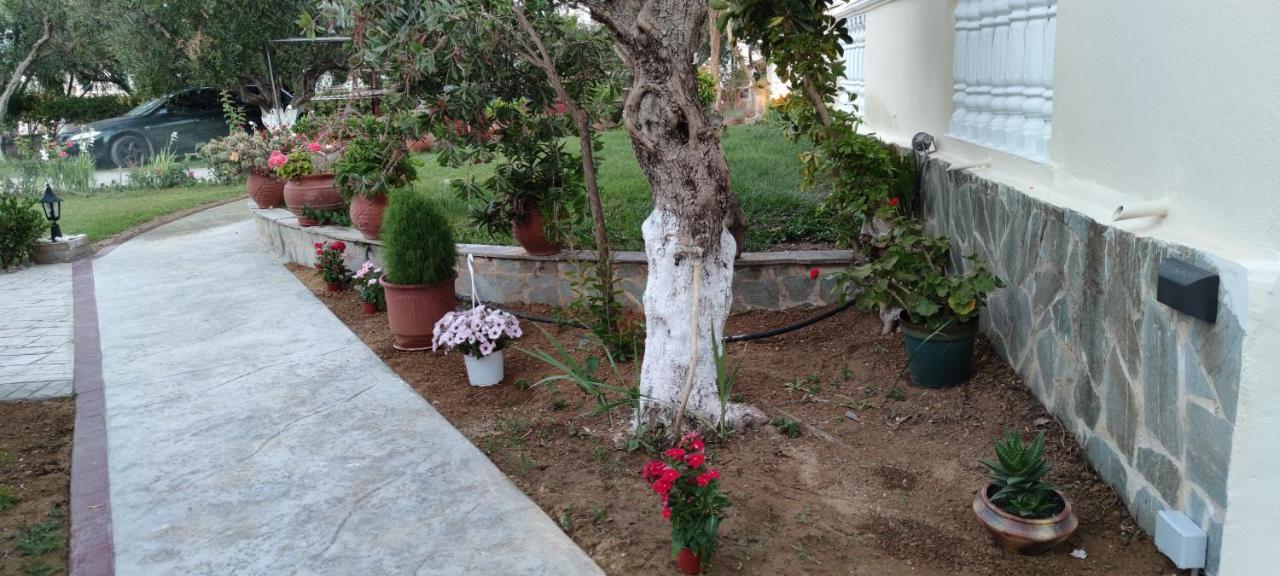Zante Summer Retreats - Marietta'S Apartment2 Drosia Kypseli Luaran gambar